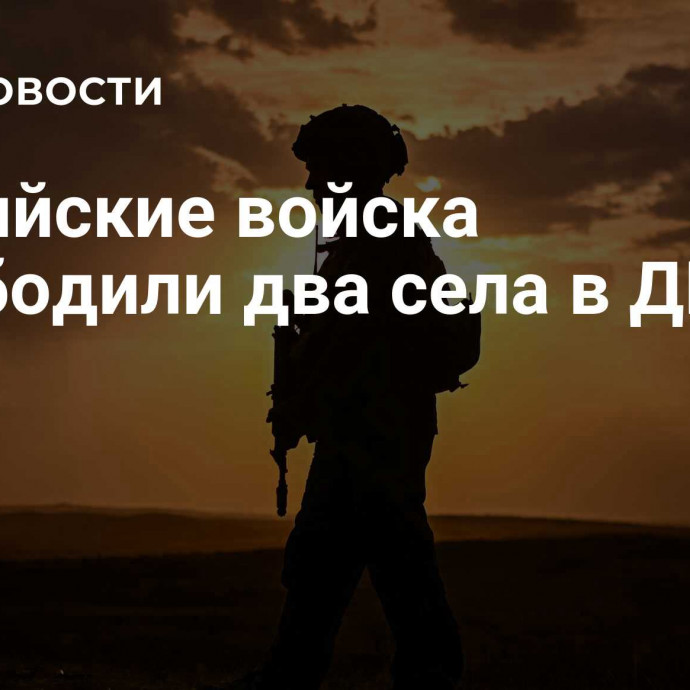 Российские войска освободили два села в ДНР