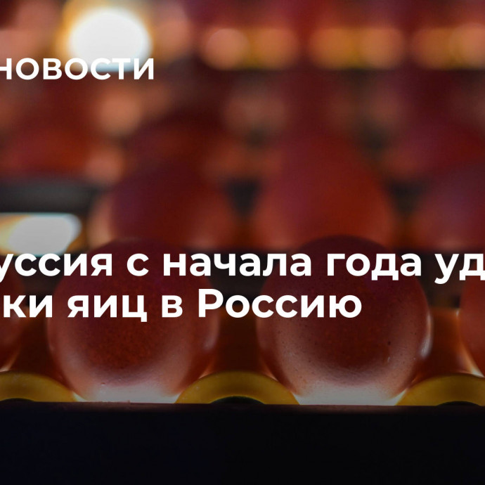 Белоруссия с начала года удвоила поставки яиц в Россию