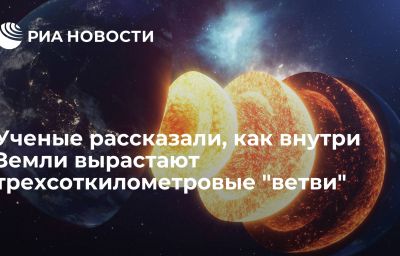 Ученые рассказали, как внутри Земли вырастают трехсоткилометровые "ветви"