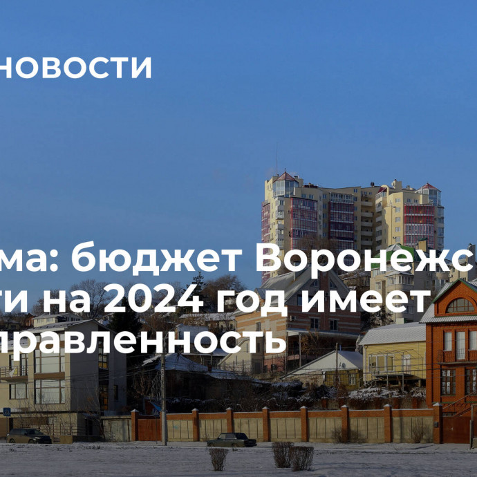 Облдума: бюджет Воронежской области на 2024 год имеет соцнаправленность