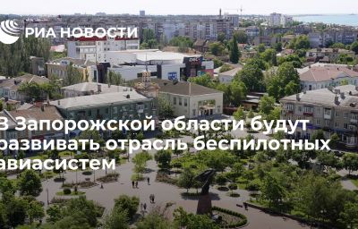 В Запорожской области будут развивать отрасль беспилотных авиасистем