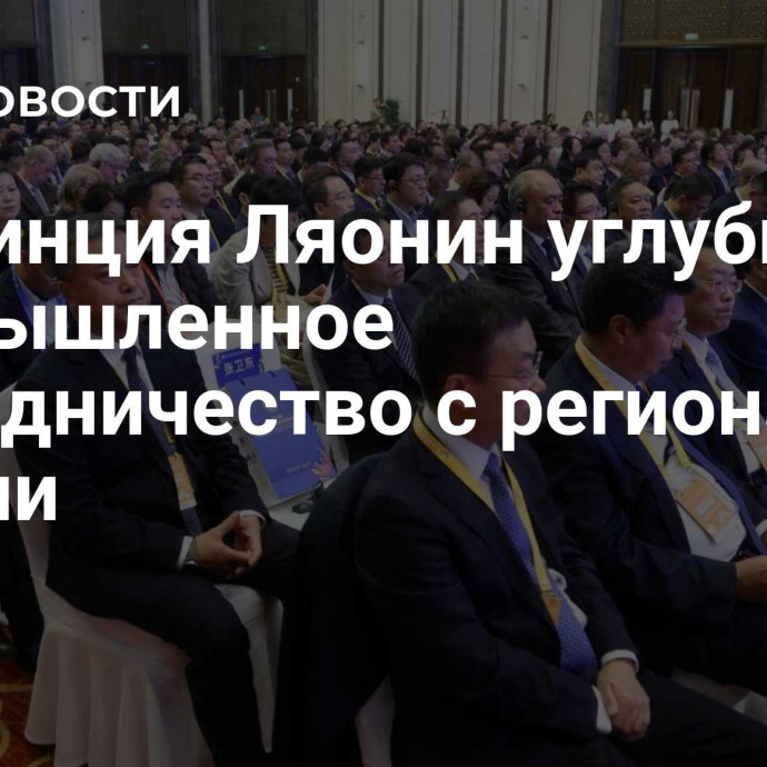 Провинция Ляонин углубит промышленное сотрудничество с регионами России