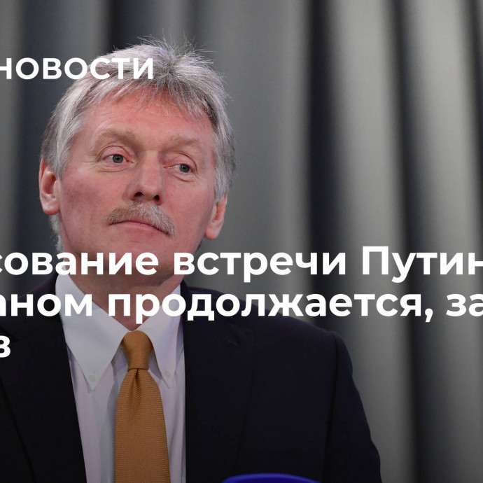 Согласование встречи Путина с Эрдоганом продолжается, заявил Песков