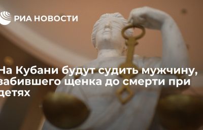 На Кубани будут судить мужчину, забившего щенка до смерти при детях