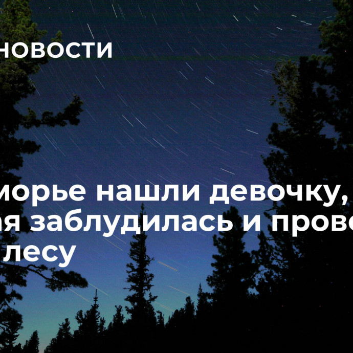 В Приморье нашли девочку, которая заблудилась и провела ночь в лесу