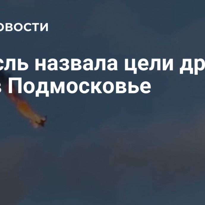 Кнайсль назвала цели дронов ВСУ в Подмосковье