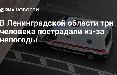 В Ленинградской области три человека пострадали из-за непогоды