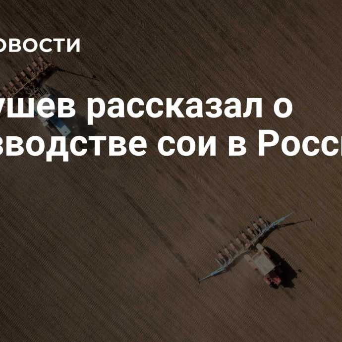 Патрушев рассказал о производстве сои в России