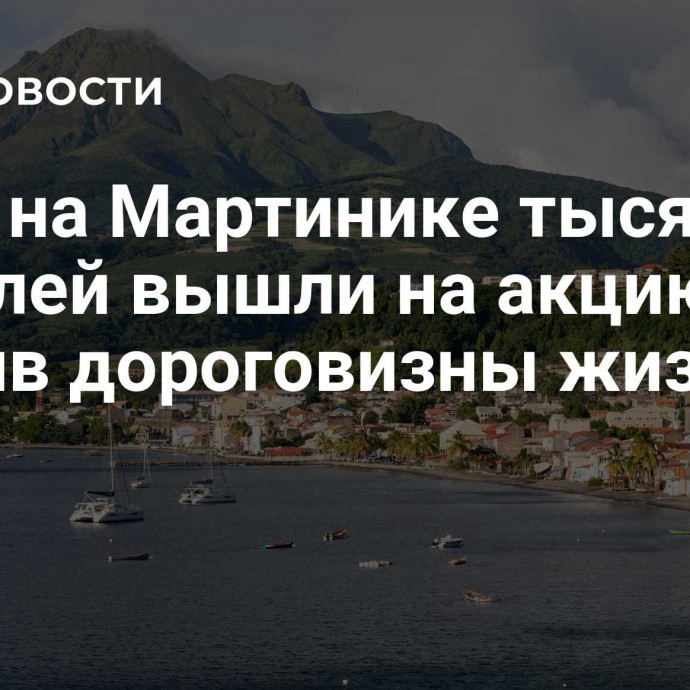 СМИ: на Мартинике тысячи жителей вышли на акцию против дороговизны жизни