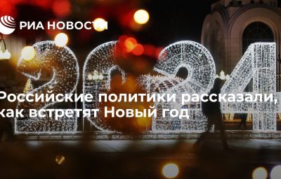 Российские политики рассказали, как встретят Новый год