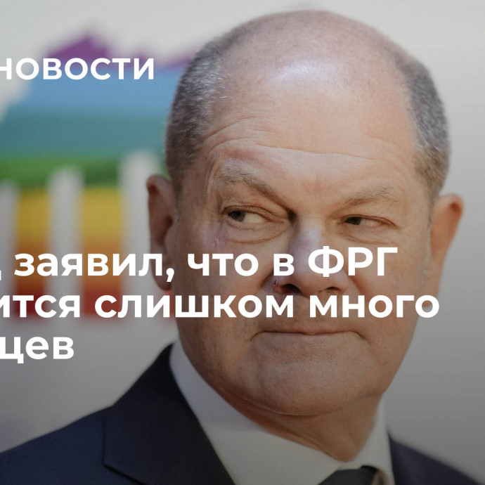 Шольц заявил, что в ФРГ стремится слишком много беженцев