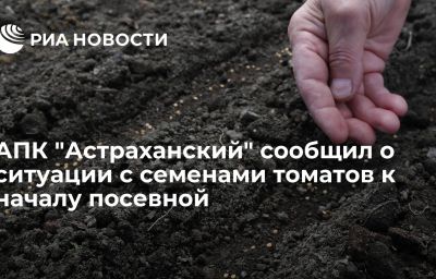 АПК "Астраханский" сообщил о ситуации с семенами томатов к началу посевной