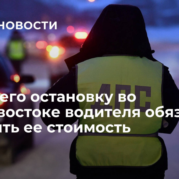 Снесшего остановку во Владивостоке водителя обязали оплатить ее стоимость