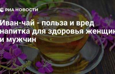 Иван-чай - польза и вред напитка для здоровья женщин и мужчин