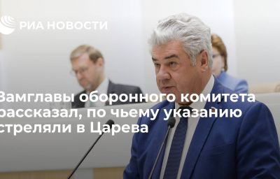 Замглавы оборонного комитета рассказал, по чьему указанию стреляли в Царева