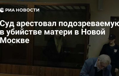 Суд арестовал подозреваемую в убийстве матери в Новой Москве