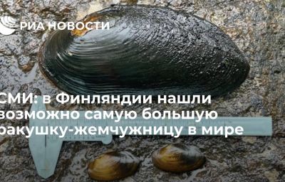 СМИ: в Финляндии нашли возможно самую большую ракушку-жемчужницу в мире