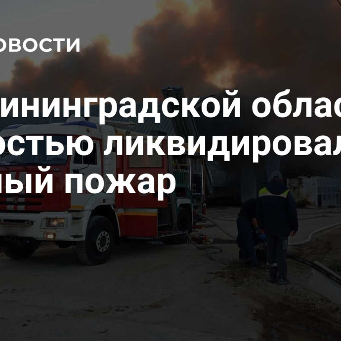 В Калининградской области полностью ликвидировали крупный пожар