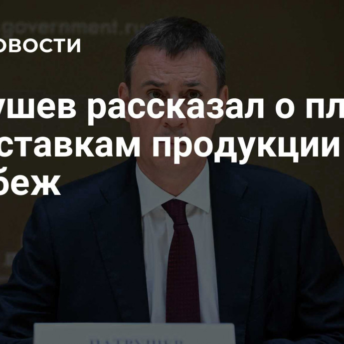 Патрушев рассказал о планах по поставкам продукции АПК за рубеж