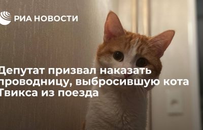 Депутат призвал наказать проводницу, выбросившую кота Твикса из поезда