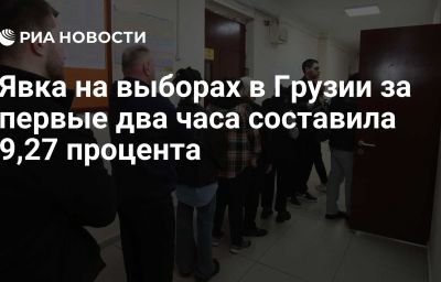 Явка на выборах в Грузии за первые два часа составила 9,27 процента