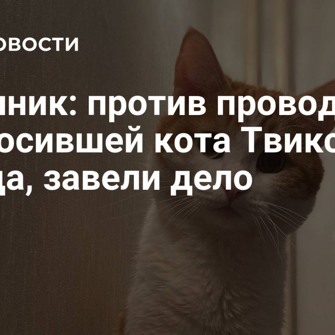 Источник: против проводницы, выбросившей кота Твикса из поезда, завели дело