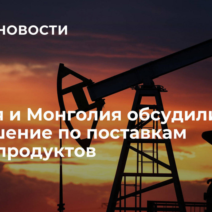 Россия и Монголия обсудили соглашение по поставкам нефтепродуктов