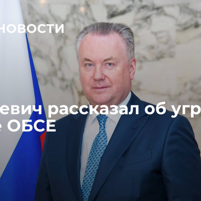 Лукашевич рассказал об угрозе работе ОБСЕ
