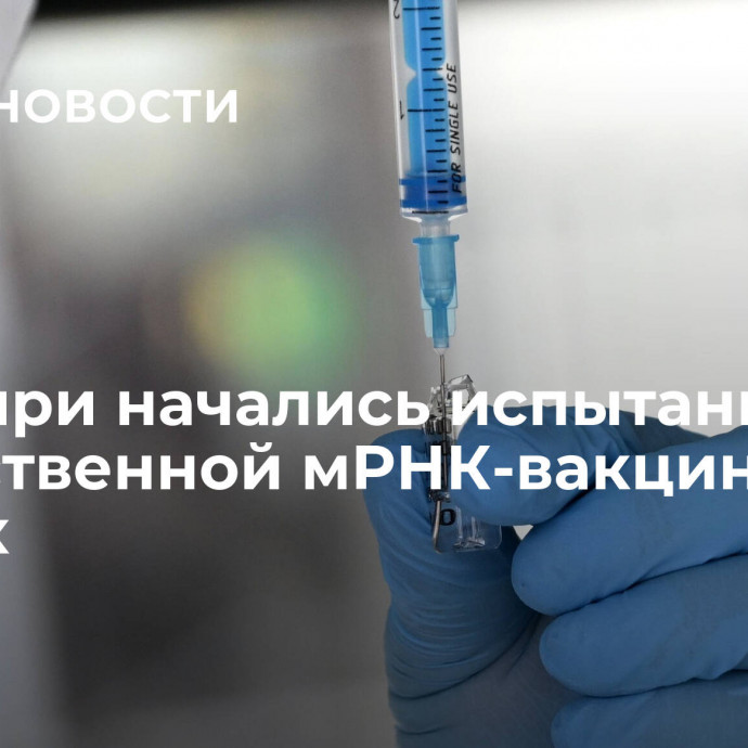 В Сибири начались испытания отечественной мРНК-вакцины на мышах