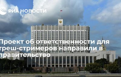 Проект об ответственности для треш-стримеров направили в правительство