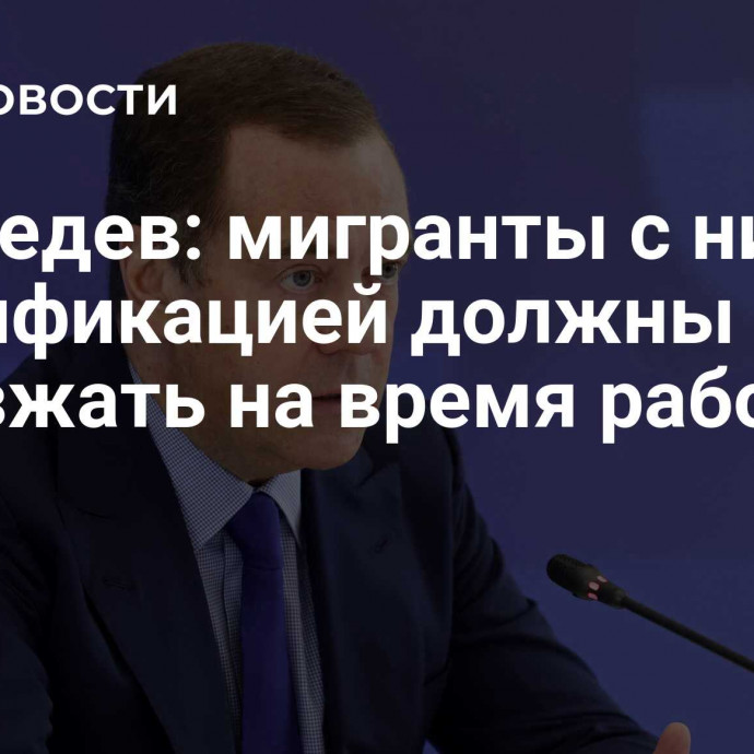 Медведев: мигранты с низкой квалификацией должны приезжать на время работы