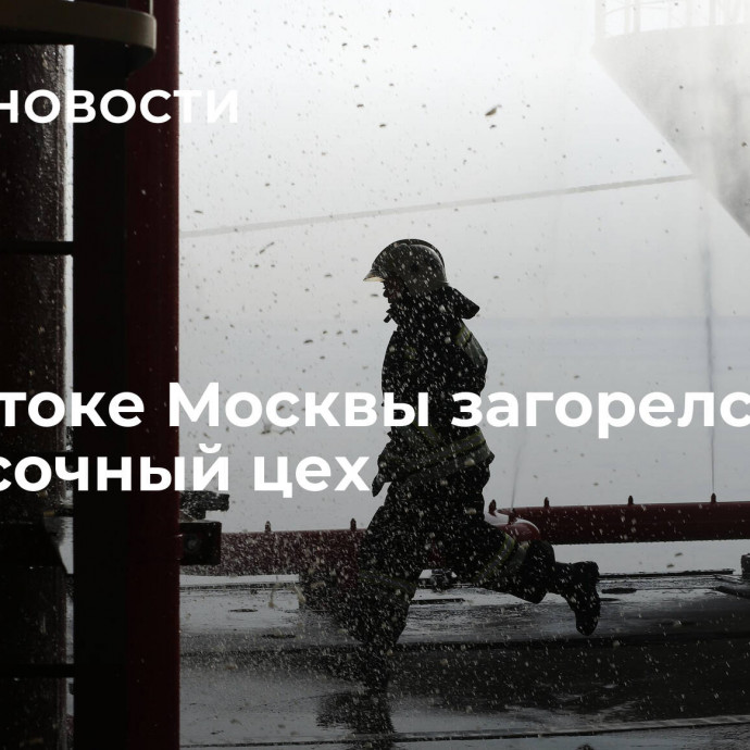 На востоке Москвы загорелся покрасочный цех