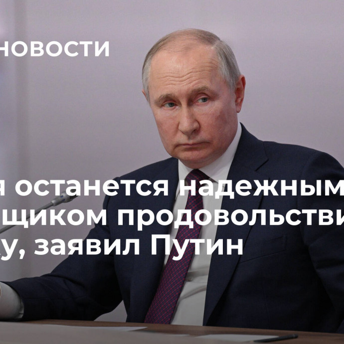 Россия останется надежным поставщиком продовольствия в Африку, заявил Путин