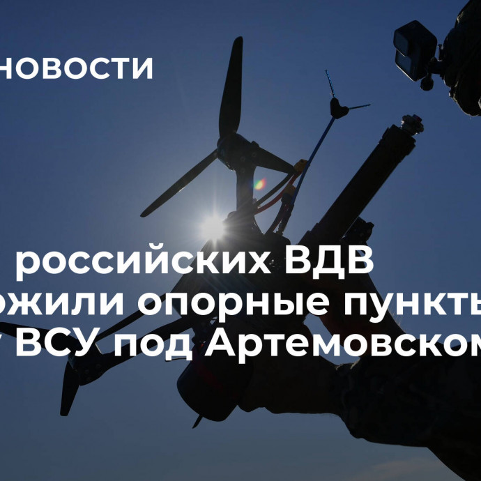 Дроны российских ВДВ уничтожили опорные пункты и пехоту ВСУ под Артемовском