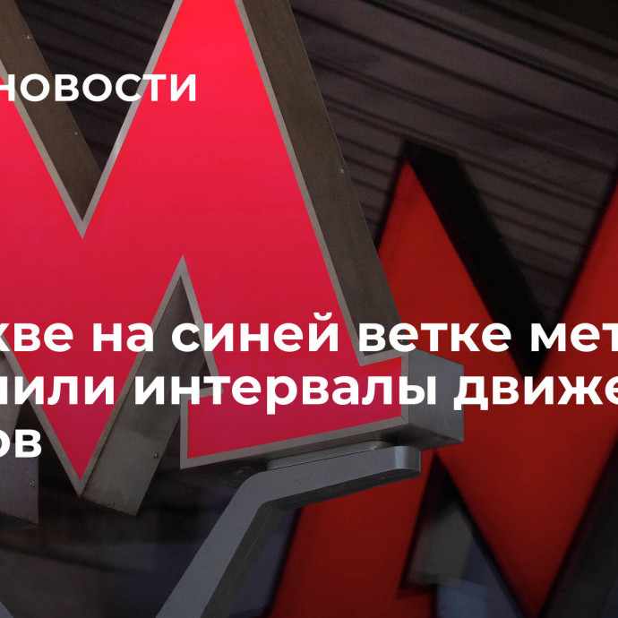 В Москве на синей ветке метро увеличили интервалы движения поездов