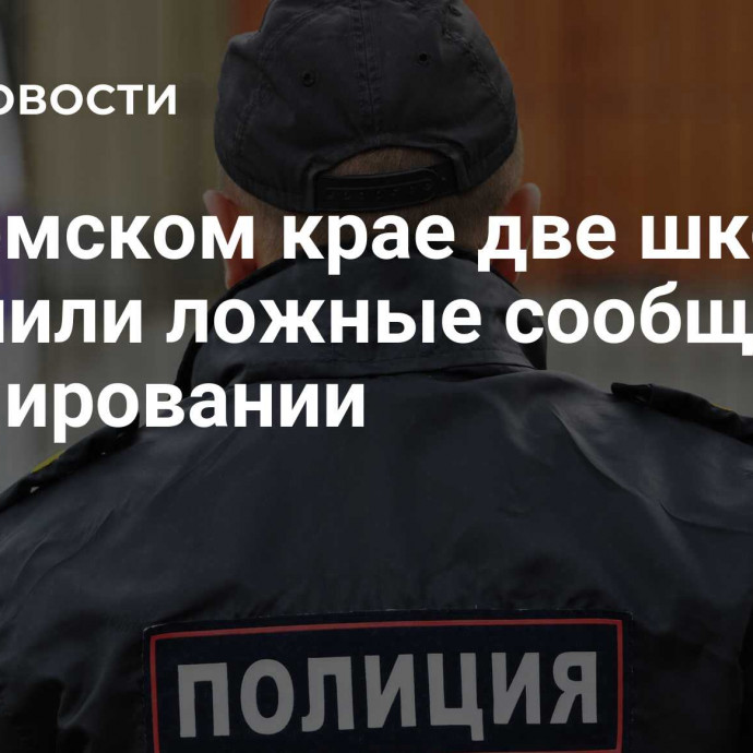 В Пермском крае две школы получили ложные сообщения о минировании