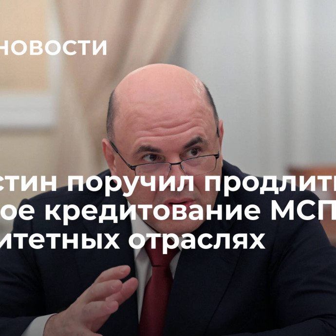 Мишустин поручил продлить льготное кредитование МСП в приоритетных отраслях