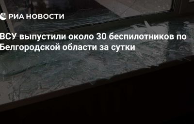 ВСУ выпустили около 30 беспилотников по Белгородской области за сутки