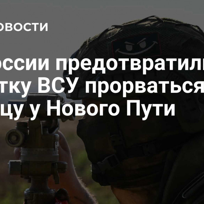 ВС России предотвратили попытку ВСУ прорваться через границу у Нового Пути