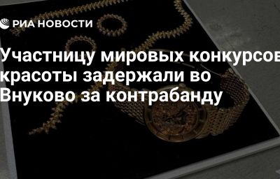 Участницу мировых конкурсов красоты задержали во Внуково за контрабанду