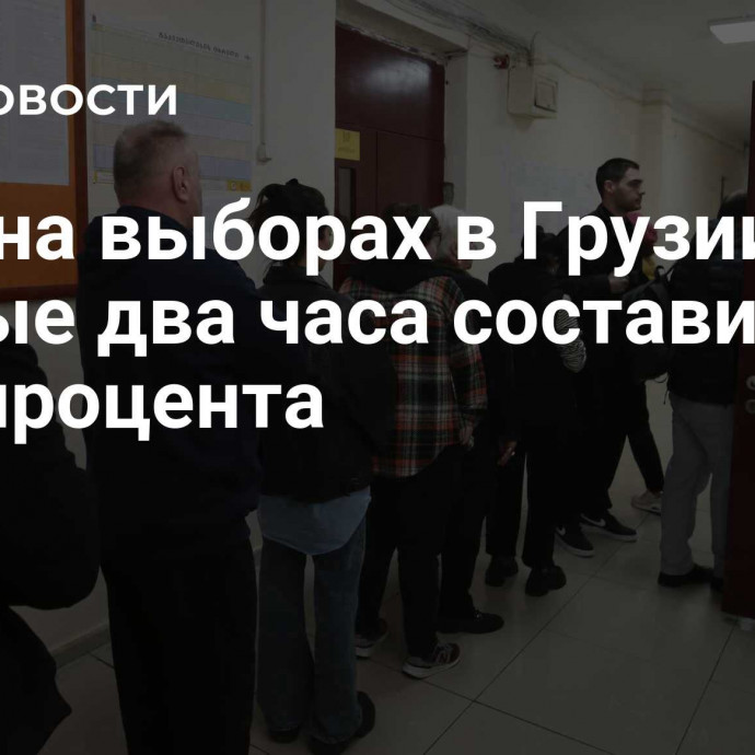 Явка на выборах в Грузии за первые два часа составила 9,27 процента