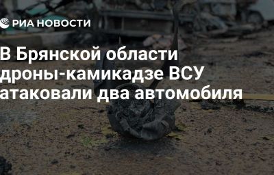 В Брянской области дроны-камикадзе ВСУ атаковали два автомобиля