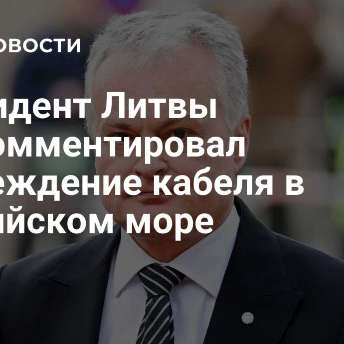 Президент Литвы прокомментировал повреждение кабеля в Балтийском море