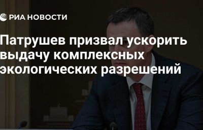 Патрушев призвал ускорить выдачу комплексных экологических разрешений