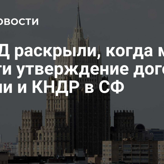 В МИД раскрыли, когда может пройти утверждение договора России и КНДР в СФ