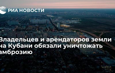 Владельцев и арендаторов земли на Кубани обязали уничтожать амброзию