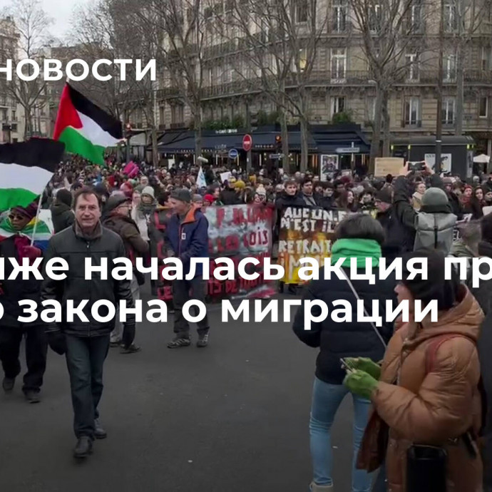 В Париже началась акция против нового закона о миграции