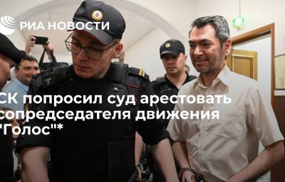 СК попросил суд арестовать сопредседателя движения "Голос"*