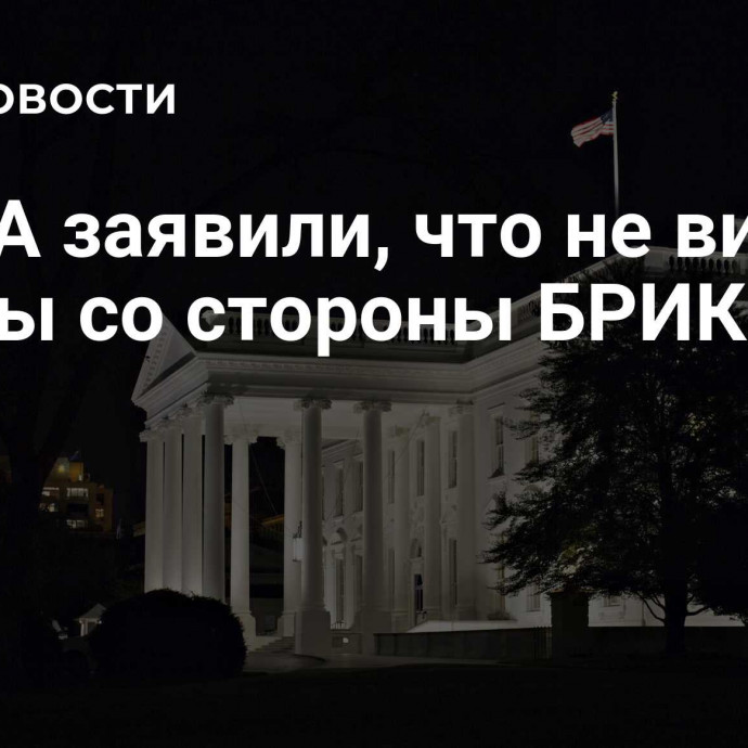 В США заявили, что не видят угрозы со стороны БРИКС