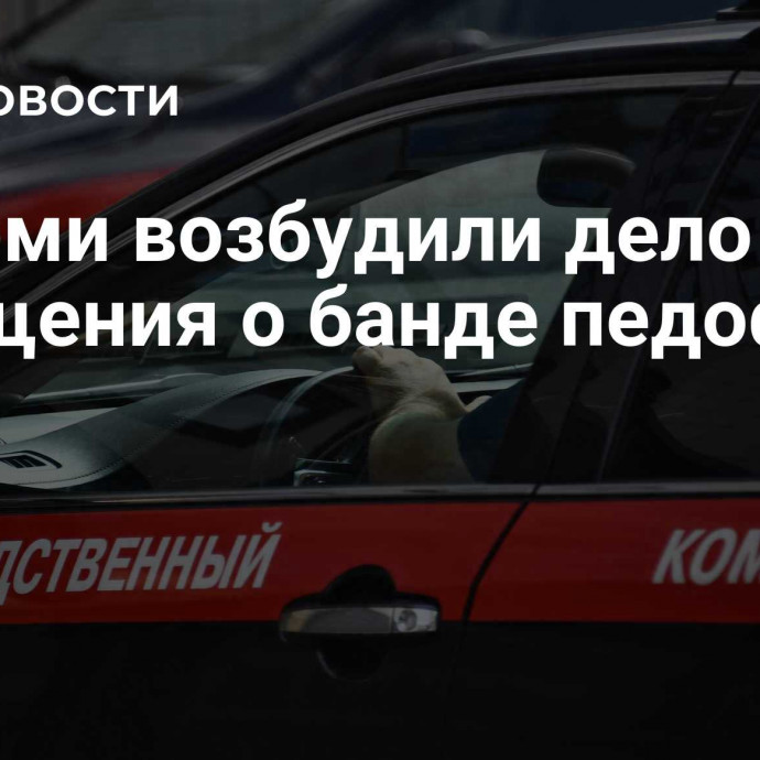 В Перми возбудили дело после сообщения о банде педофилов